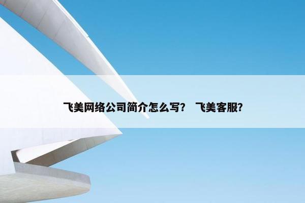 飞美网络公司简介怎么写？ 飞美客服？
