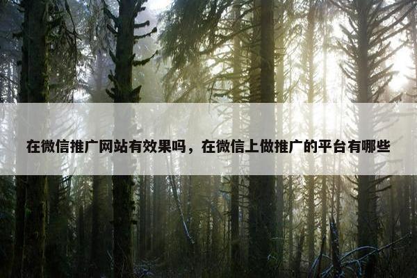 在微信推广网站有效果吗，在微信上做推广的平台有哪些