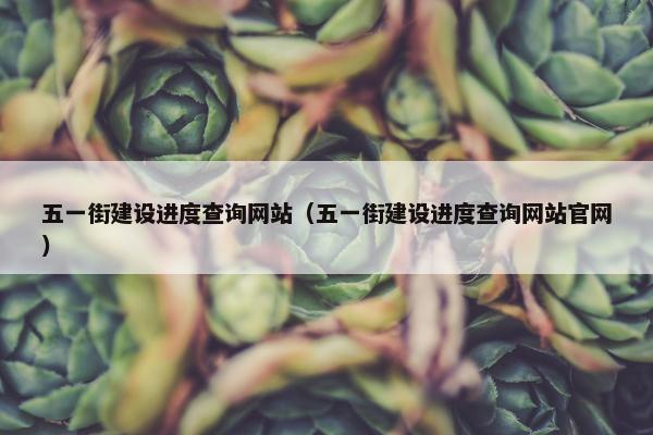 五一街建设进度查询网站（五一街建设进度查询网站官网）
