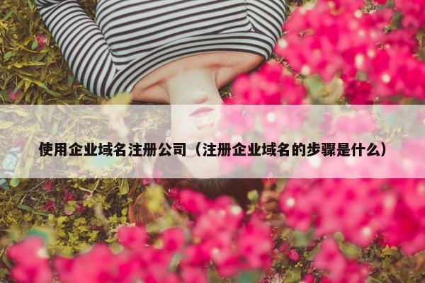使用企业域名注册公司（注册企业域名的步骤是什么）