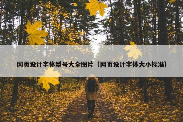 网页设计字体型号大全图片（网页设计字体大小标准）