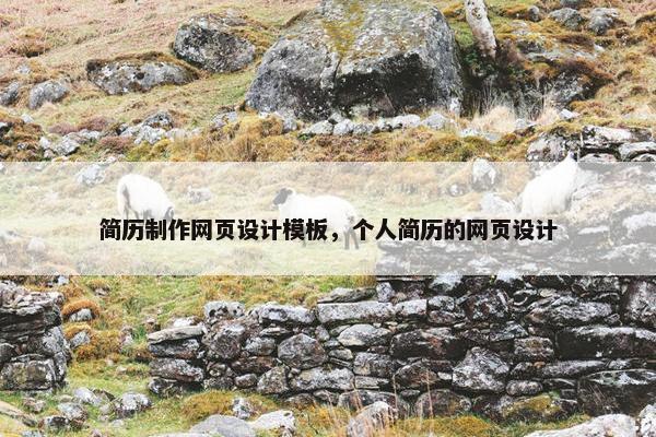 简历制作网页设计模板，个人简历的网页设计