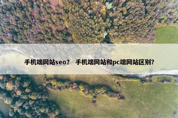 手机端网站seo？ 手机端网站和pc端网站区别？