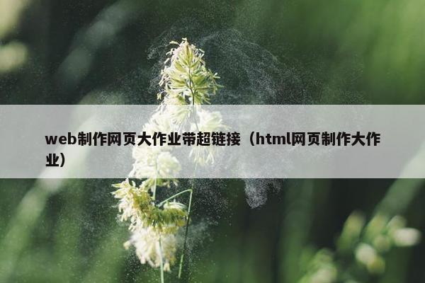 web制作网页大作业带超链接（html网页制作大作业）