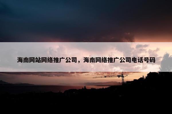 海南网站网络推广公司，海南网络推广公司电话号码