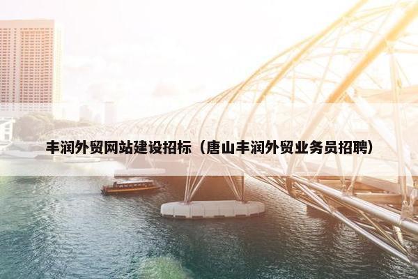 丰润外贸网站建设招标（唐山丰润外贸业务员招聘）