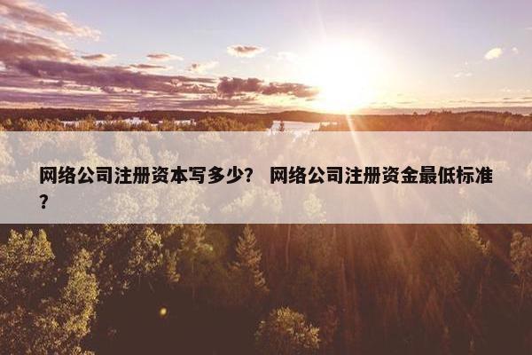 网络公司注册资本写多少？ 网络公司注册资金最低标准？