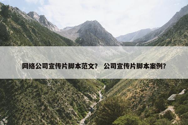 网络公司宣传片脚本范文？ 公司宣传片脚本案例？