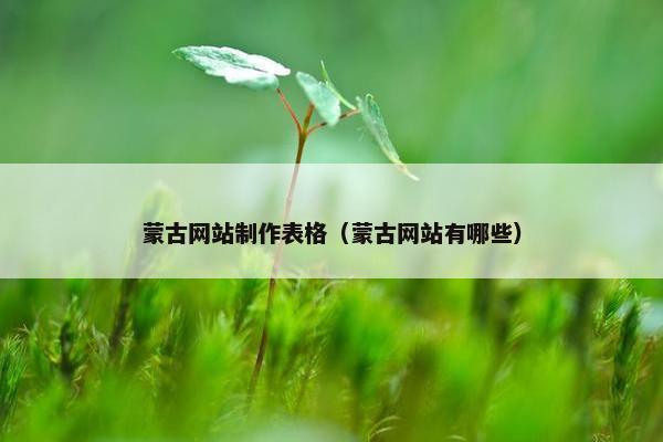 蒙古网站制作表格（蒙古网站有哪些）