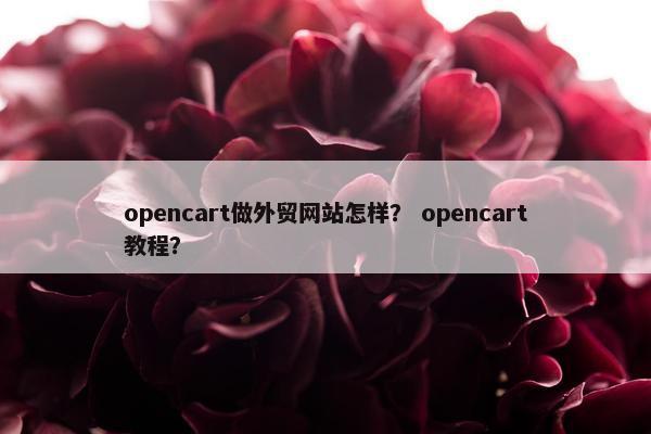 opencart做外贸网站怎样？ opencart教程？