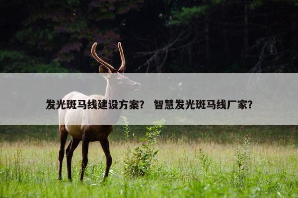 发光斑马线建设方案？ 智慧发光斑马线厂家？