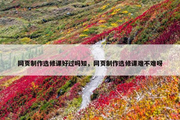 网页制作选修课好过吗知，网页制作选修课难不难呀