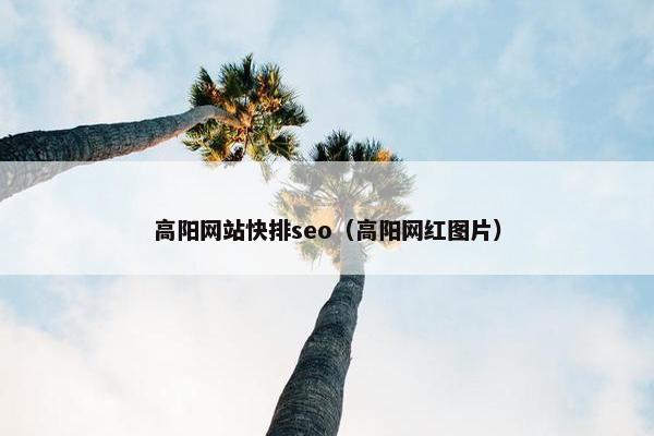 高阳网站快排seo（高阳网红图片）