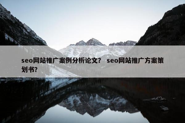 seo网站推广案例分析论文？ seo网站推广方案策划书？