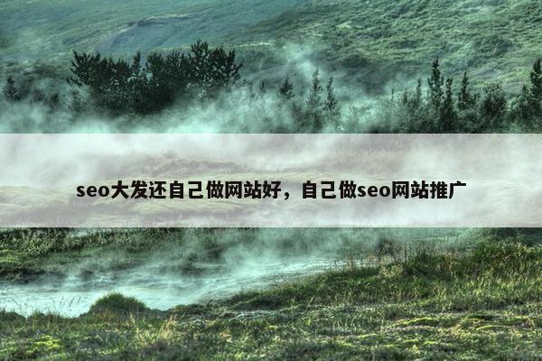 seo大发还自己做网站好，自己做seo网站推广
