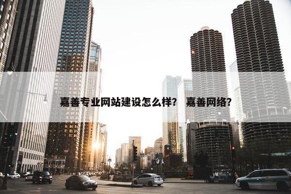 嘉善专业网站建设怎么样？ 嘉善网络？