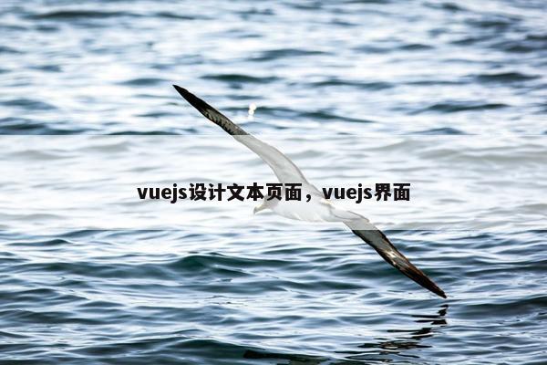 vuejs设计文本页面，vuejs界面