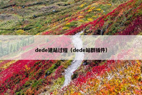 dede建站过程（dede站群插件）