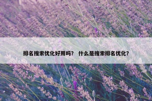 排名搜索优化好用吗？ 什么是搜索排名优化？