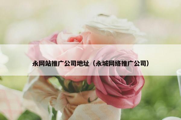 永网站推广公司地址（永城网络推广公司）