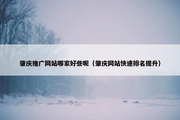 肇庆推广网站哪家好些呢（肇庆网站快速排名提升）