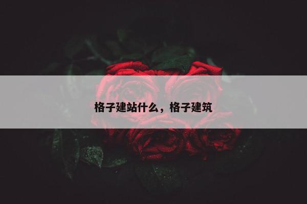 格子建站什么，格子建筑