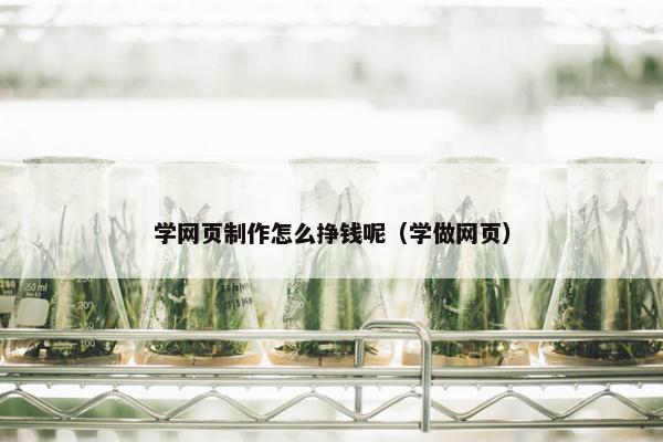学网页制作怎么挣钱呢（学做网页）