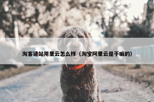 淘客建站用里云怎么样（淘宝阿里云是干嘛的）