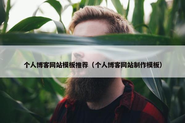 个人博客网站模板推荐（个人博客网站制作模板）
