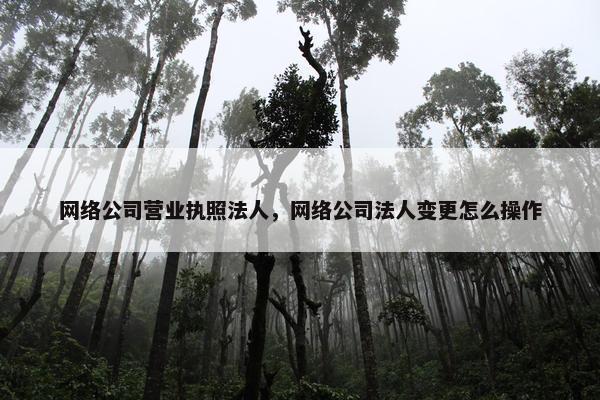网络公司营业执照法人，网络公司法人变更怎么操作