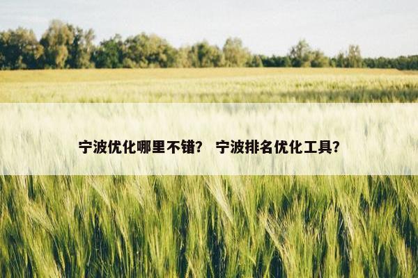 宁波优化哪里不错？ 宁波排名优化工具？