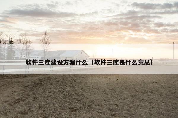 软件三库建设方案什么（软件三库是什么意思）