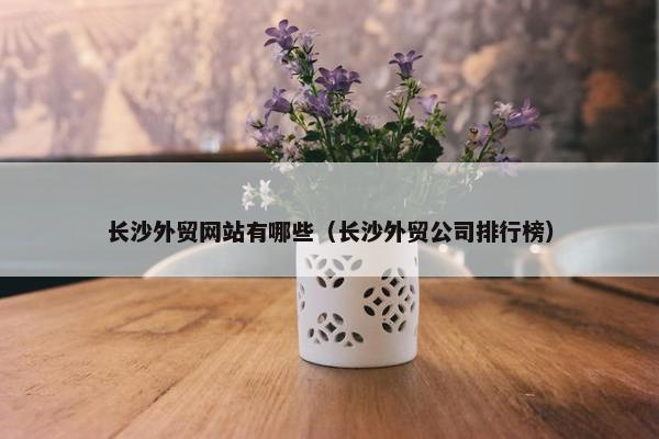 长沙外贸网站有哪些（长沙外贸公司排行榜）