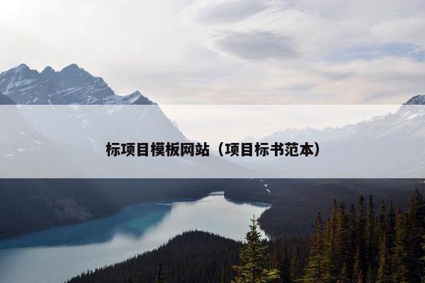 标项目模板网站（项目标书范本）