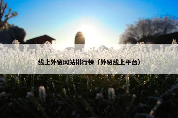 线上外贸网站排行榜（外贸线上平台）