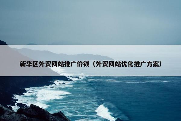 新华区外贸网站推广价钱（外贸网站优化推广方案）