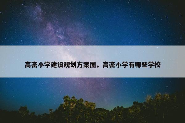 高密小学建设规划方案图，高密小学有哪些学校