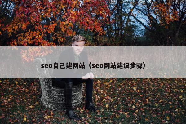 seo自己建网站（seo网站建设步骤）