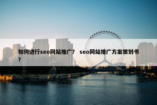 如何进行seo网站推广？ seo网站推广方案策划书？