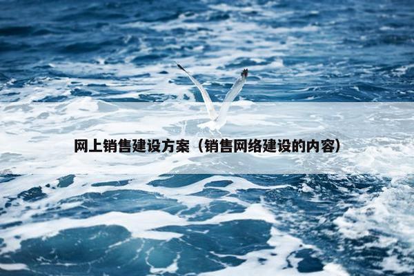 网上销售建设方案（销售网络建设的内容）