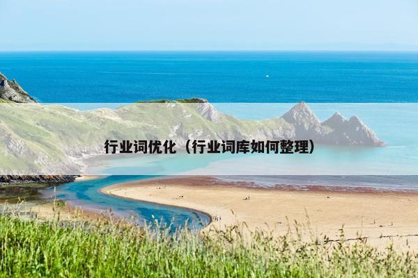 行业词优化（行业词库如何整理）