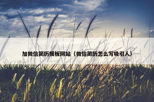 加微信简历模板网站（微信简历怎么写吸引人）