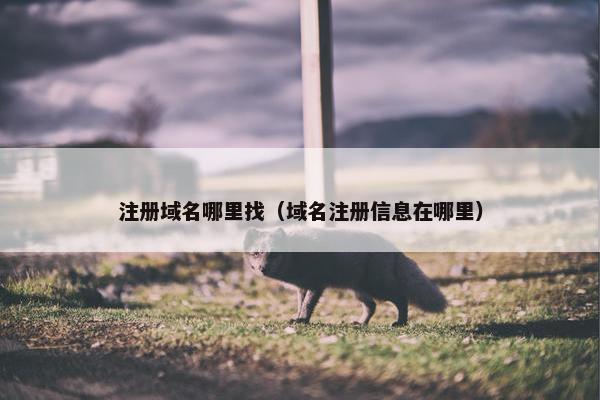 注册域名哪里找（域名注册信息在哪里）