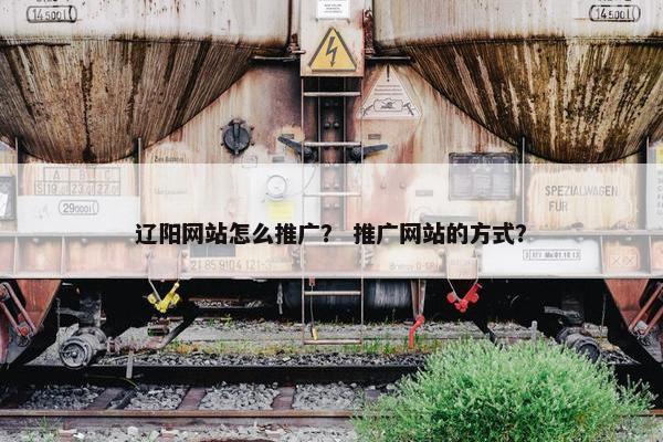 辽阳网站怎么推广？ 推广网站的方式？