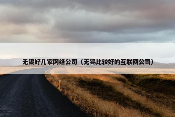 无锡好几家网络公司（无锡比较好的互联网公司）