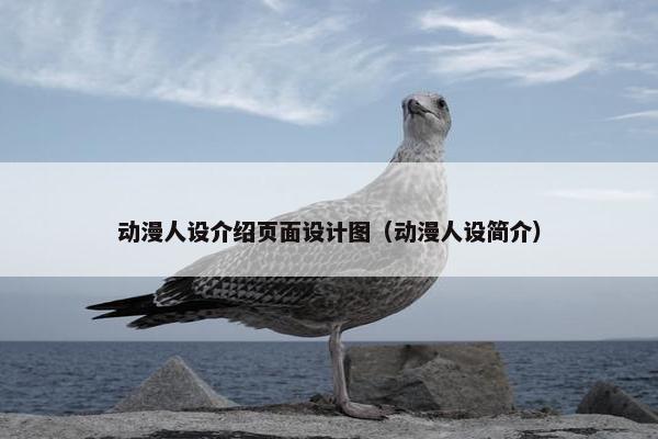 动漫人设介绍页面设计图（动漫人设简介）