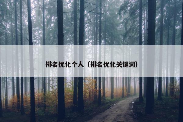 排名优化个人（排名优化关键词）