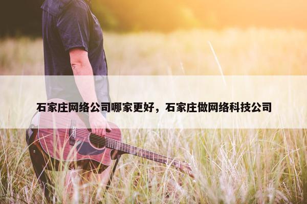 石家庄网络公司哪家更好，石家庄做网络科技公司