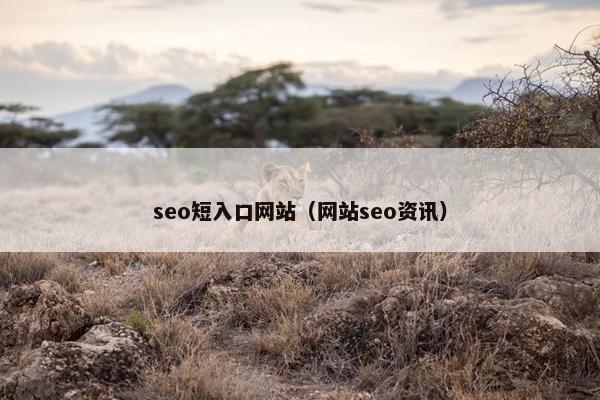 seo短入口网站（网站seo资讯）