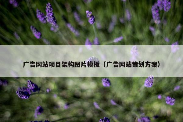 广告网站项目架构图片模板（广告网站策划方案）